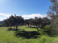 T5 de 98 m² avec balcon 47 m²